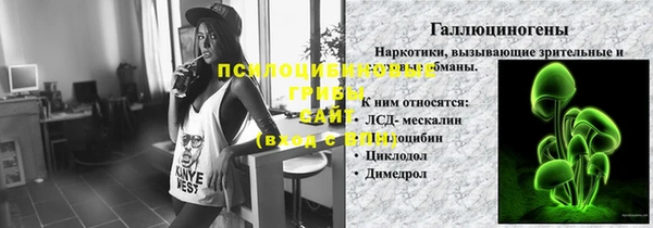 мяу мяу мука Горняк