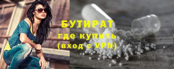 индика Горнозаводск