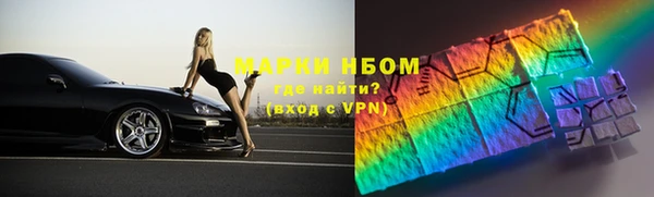 индика Горнозаводск