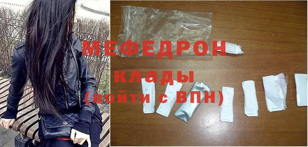 индика Горнозаводск