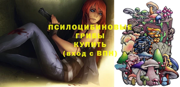 мяу мяу мука Гусиноозёрск