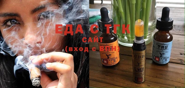индика Горнозаводск