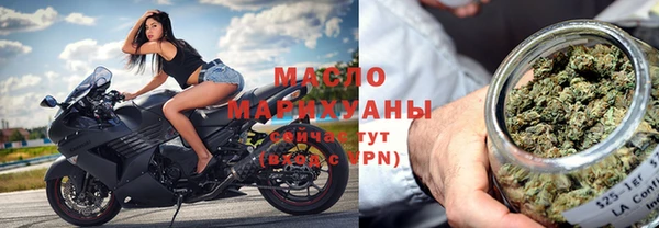 индика Горнозаводск