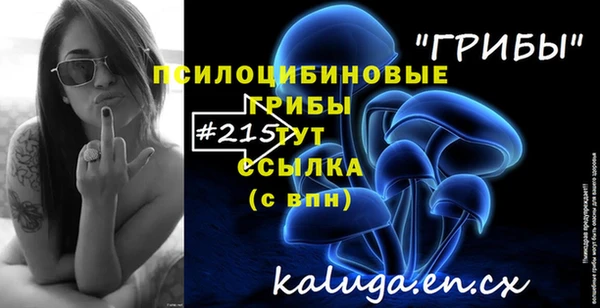 мяу мяу мука Горняк